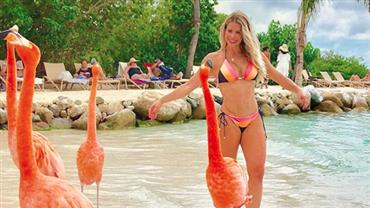 De biquíni, Karina Bacchi posa com flamingos e ganha elogios: "Maravilhosa"