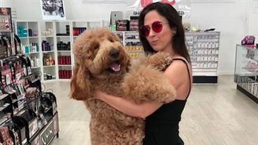 Tatá Werneck cobra ação de supermercado por morte de cachorro: "Comecem a ajudar ONGs"
