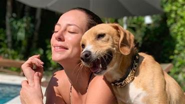 Paolla Oliveira posa de biquíni e cachorro rouba a cena: "Um verdadeiro blogueirinho"