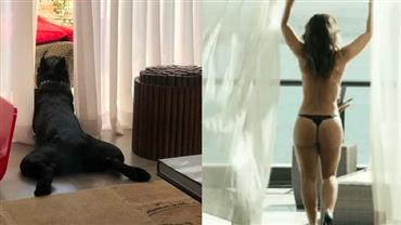 Paolla Oliveira brinca com pose de seu cachorro e compara com cena sensual que interpretou