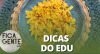 Aprenda a fazer batata frita com molho de cheddar | Fica com a Gente