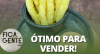 Palito de Batata e Muçarela