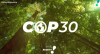 COP30: Carpinteiros da Amazônia mostram seus conhecimentos