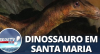 Nova descoberta revela a face de dinossauro em Santa Maria