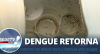 Alerta: Sorotipo 3 da Dengue volta a circular após 20 anos