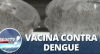 Acordo vai garantir 1ª vacina contra a dengue 100 por cento nacional