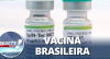 SpiN-Tec: Vacina 100 por cento nacional contra Covid é testada em MG
