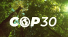 Cop 30: Os impactos do aquecimento global a curto prazo