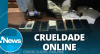 Jovens são apreendidos por promover e incentivar crimes na internet