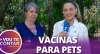 Veterinária explica importância de vacina contra a raiva em cães e gatos