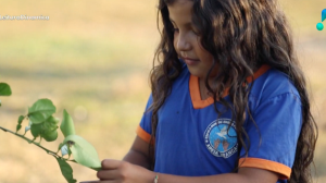 COP30: Programa educacional 'Salas Floresta' forma jovens no Pará