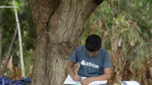 Educação na Amazônia: Como os ensinamentos indígenas influênciam no futuro