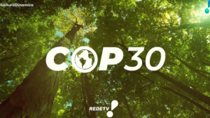COP30: Carpinteiros da Amazônia mostram seus conhecimentos