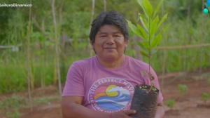 COP30: Com cultura do reflorestamento, Apinajés recuperam áreas degradadas