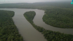 Brasil chega a COP30 com avanços no combate ao desmatamento