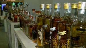 Expocachaça 2024 promete atrair investimento em RS