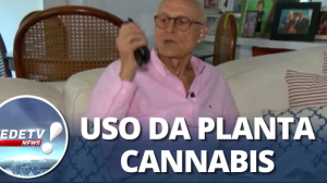 Óleo de maconha: Uso da planta Cannabis tem sido usada para fins medicinais