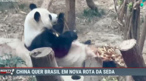 China quer Brasil em nova rota da seda