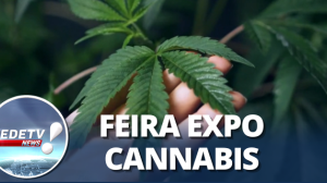 Feira ExpoCannabis Brasil: Diferentes formas de uso e decisão do STJ