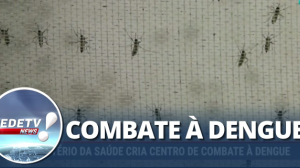 Ministério da Saúde cria centro de combate à dengue