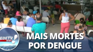 São Paulo confirma mais duas novas mortes por dengue