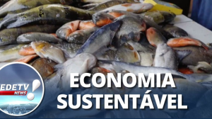 Fim do desperdício: couro de peixe vira acessórios no Pará