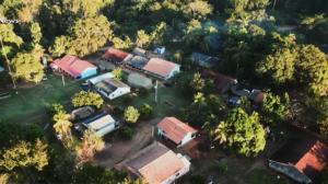 COP30: Povo indígena Paiter Suruí transforma café em símbolo de autonomia