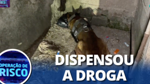 Rapaz chora ao ser preso por tráfico após cão policial encontrar drogas