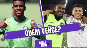 Botafogo vai levar o Brasileirão ou vai dar Palmeiras novamente?