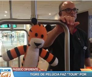 Tigre de pelúcia faz 'tour' por aeroporto enquanto espera o dono