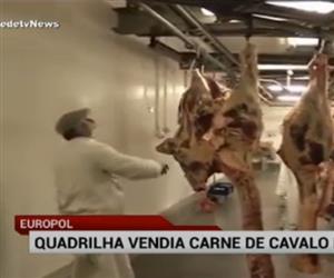 Polcia da Espanha prende quadrilha que vendia carne ilegal de cavalo