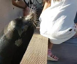Vdeo mostra menina sendo puxada por leo-marinho no Canad