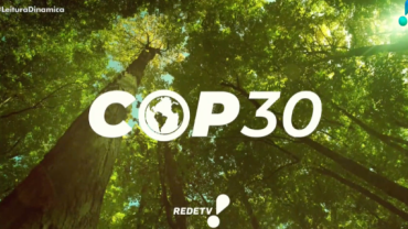 COP30: Carpinteiros da Amazônia mostram seus conhecimentos