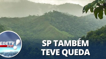 Desmatamento na Mata Atlântica cai 59 por cento